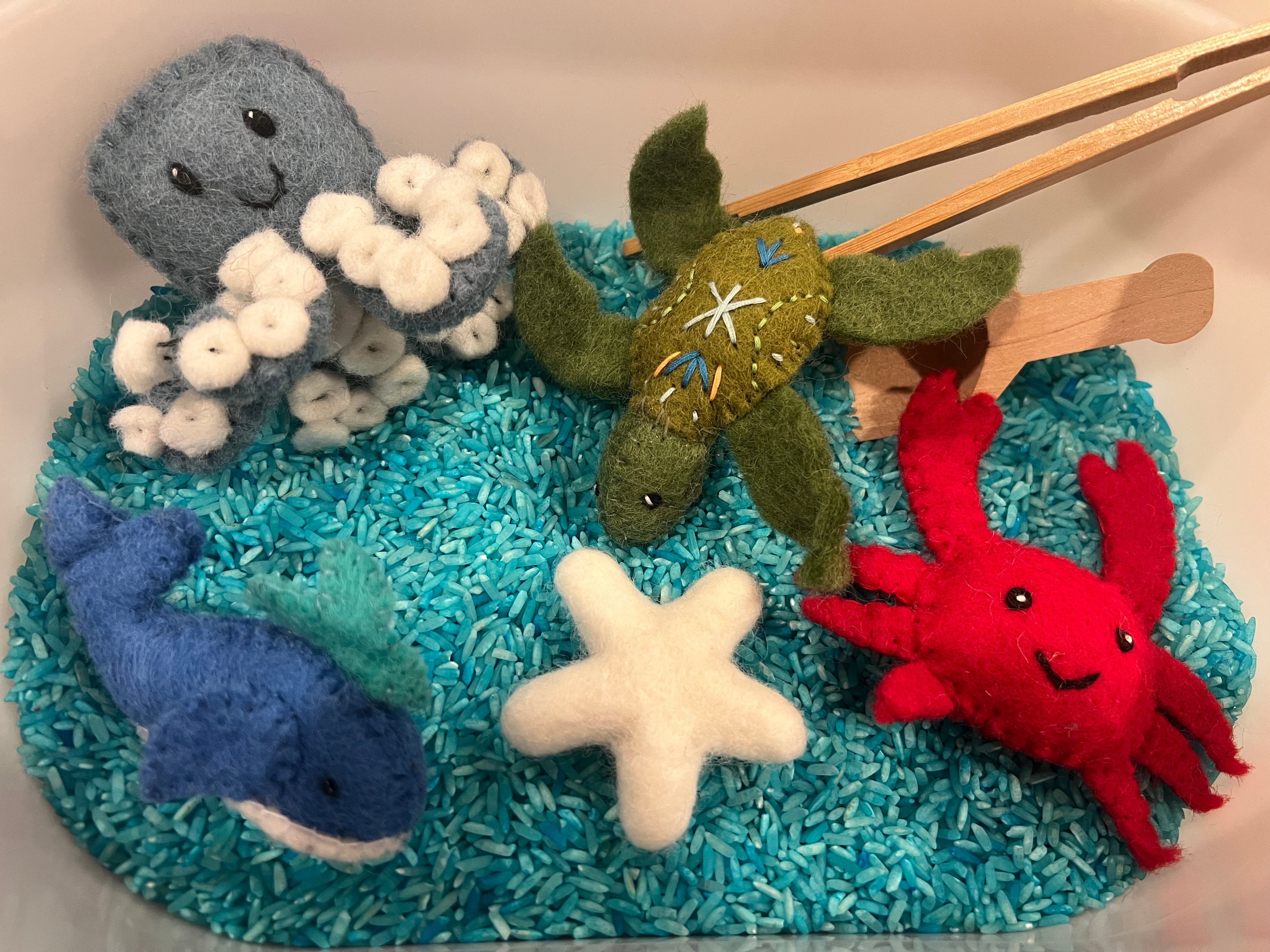 Ocean Sensory Kit