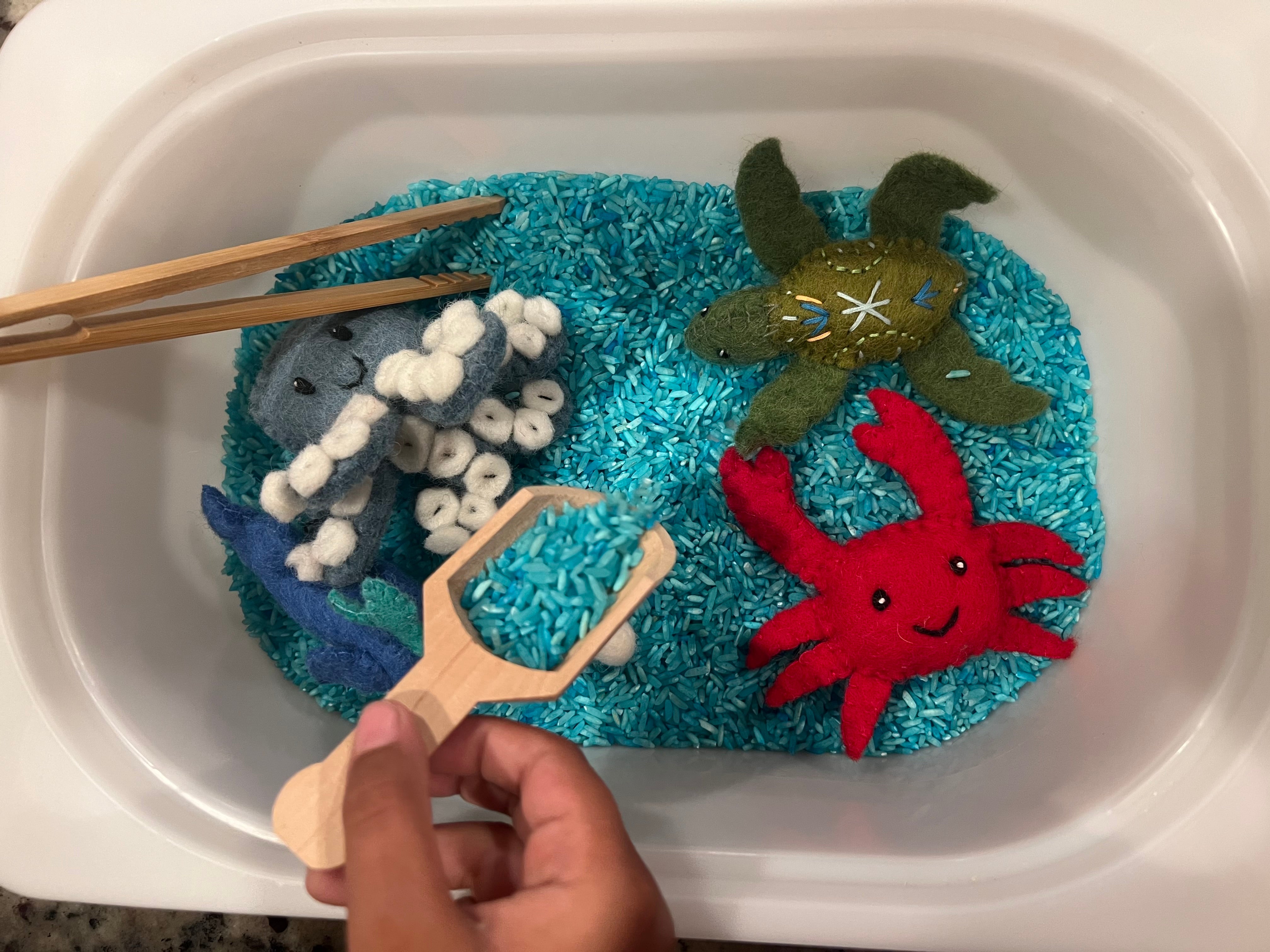 Ocean Sensory Kit