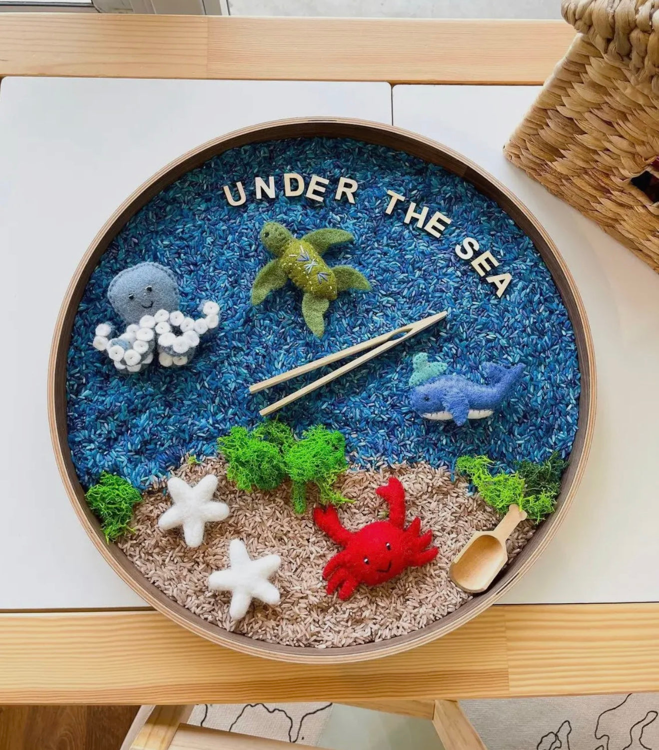 Ocean Sensory Kit